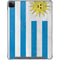 Uraguay Flag Distressed iPad Cases